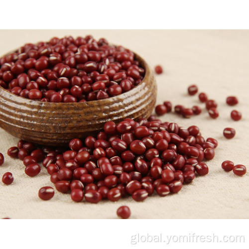 Small Red Beans Red Bean Nutrition Supplier